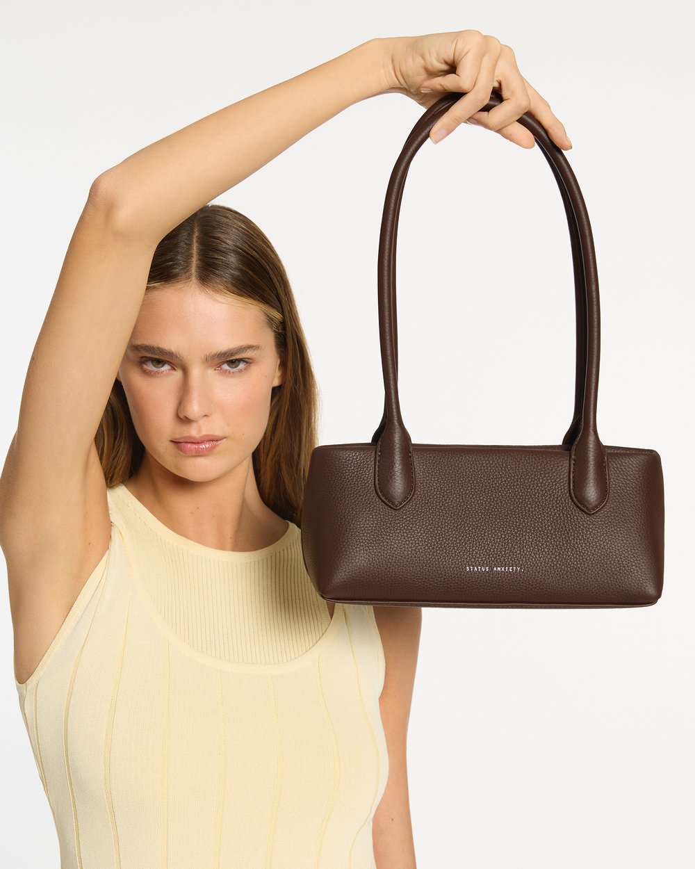 Status Anxiety The Lost Bag - cocoa