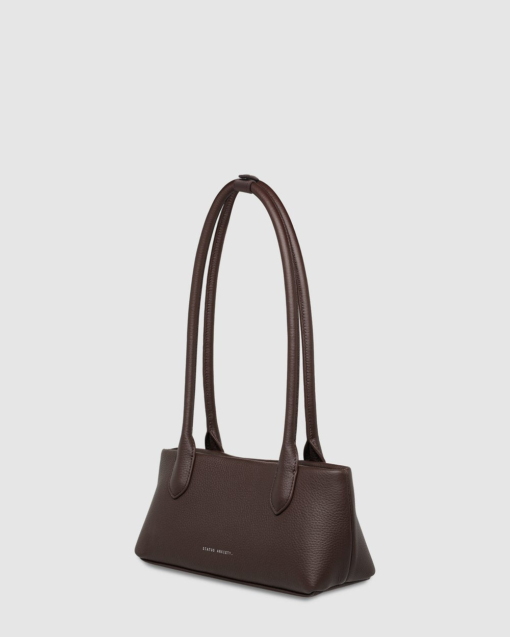 Status Anxiety The Lost Bag - cocoa