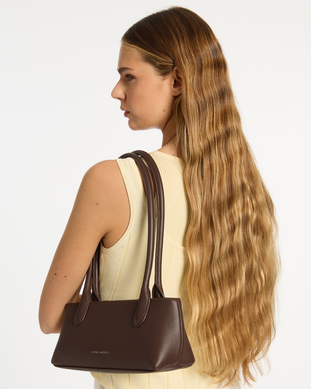 Status Anxiety The Lost Bag - cocoa