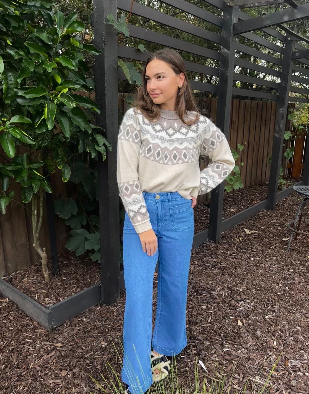 Alashan Fair Isle Crew Macaroon Combo Jumper