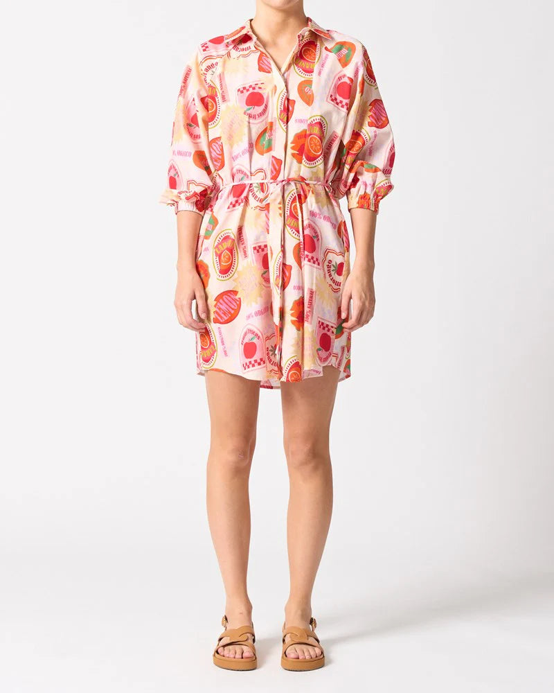 Walnut Melbourne Palermo Dress - Frutas Fescas